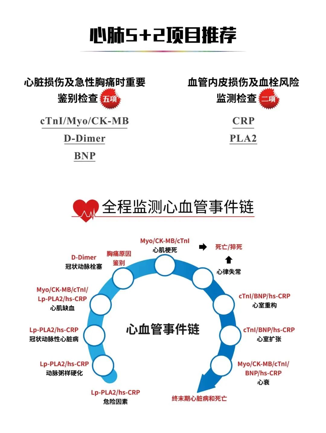 北京香港内部公开资料最准确与您相约2022南昌CACLP博览会(图7)